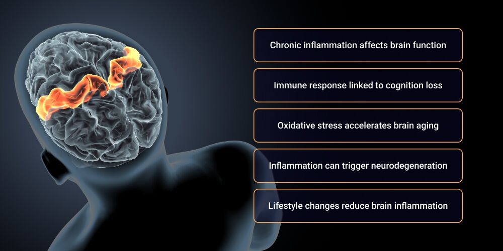 brain inflammation cognitive decline